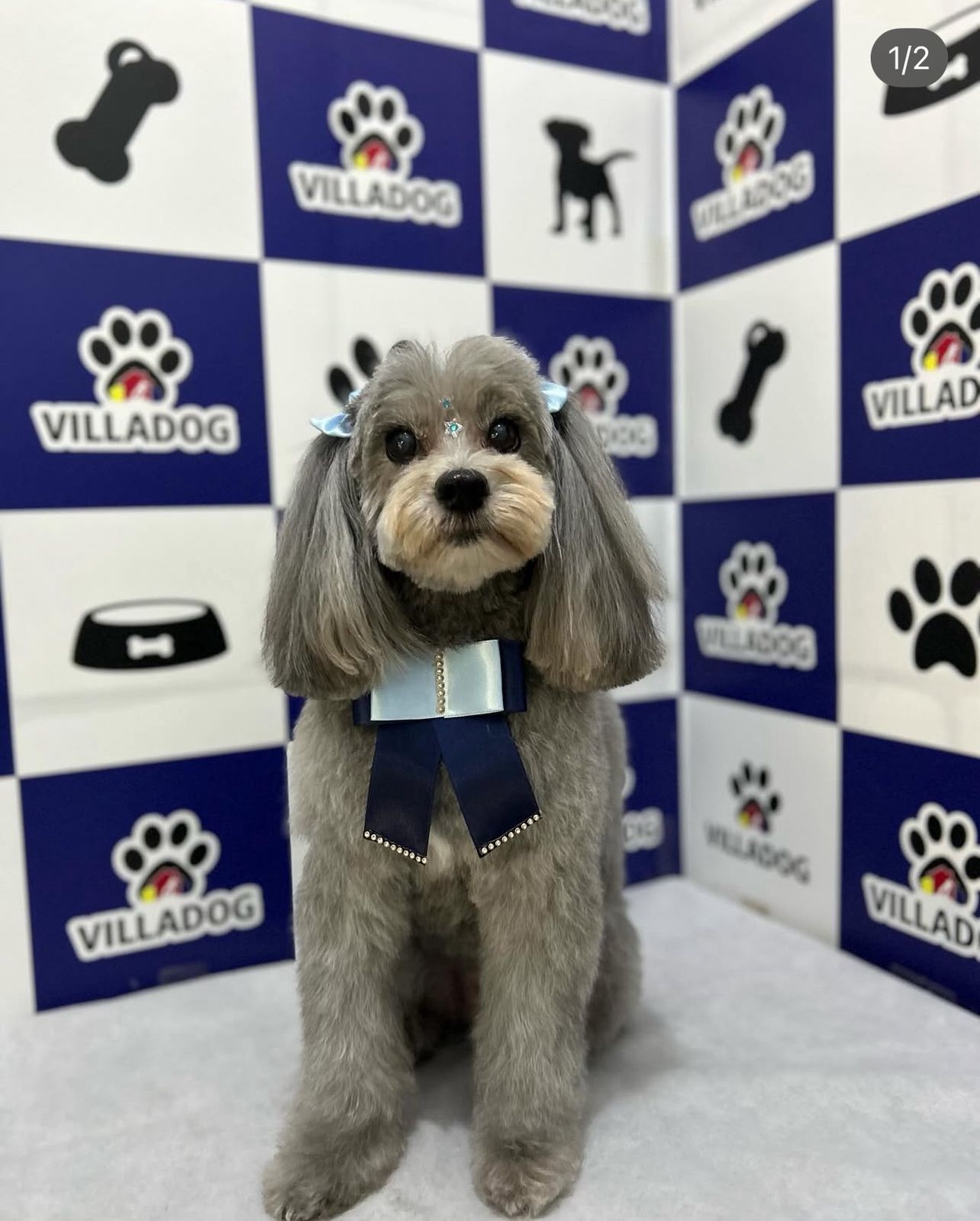 WhatsApp Image 2025-11-26 at 14.55.19.jpeg