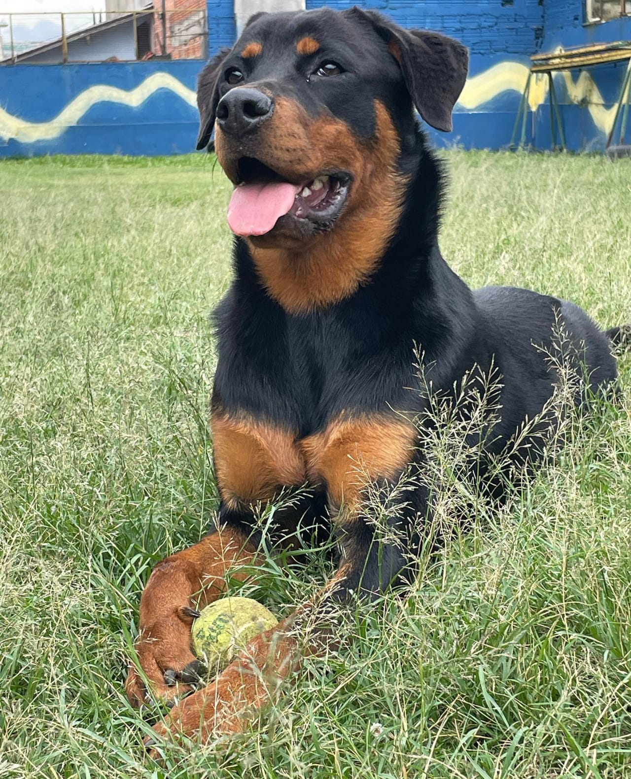 WhatsApp Image 2025-11-26 at 14.44.33.jpeg