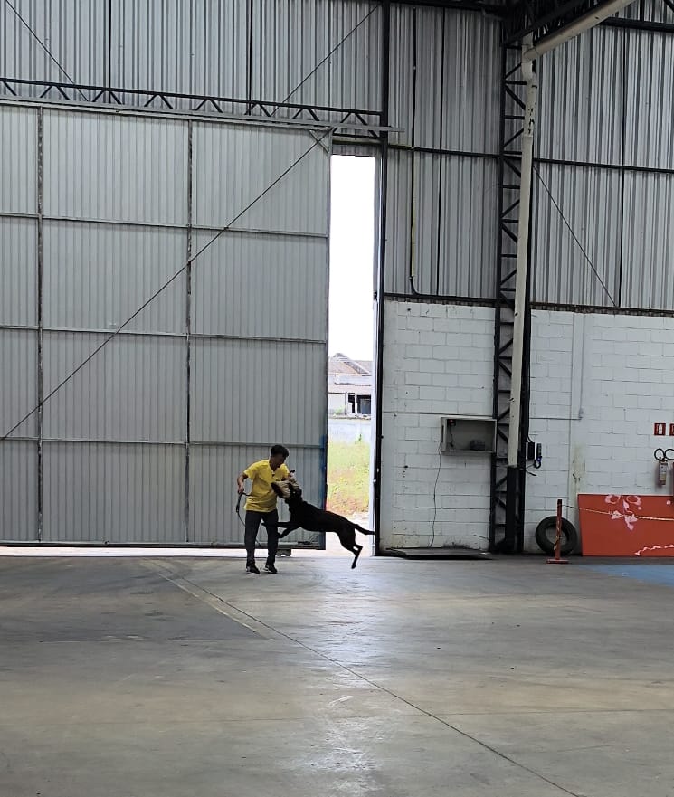 WhatsApp Image 2025-12-02 at 20.18.46.jpeg