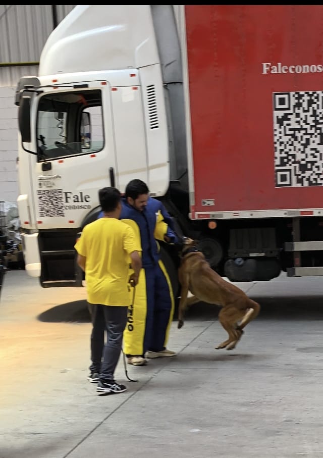 WhatsApp Image 2025-12-02 at 20.15.50.jpeg