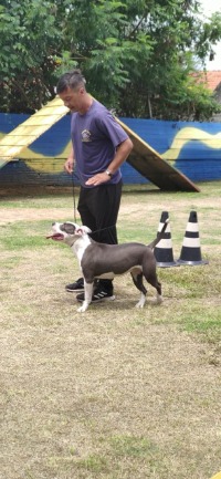 WhatsApp Image 2025-12-05 at 13.04.40 (1).jpeg