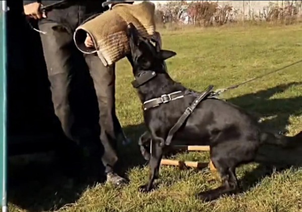 WhatsApp Image 2025-11-26 at 14.44.32.jpeg