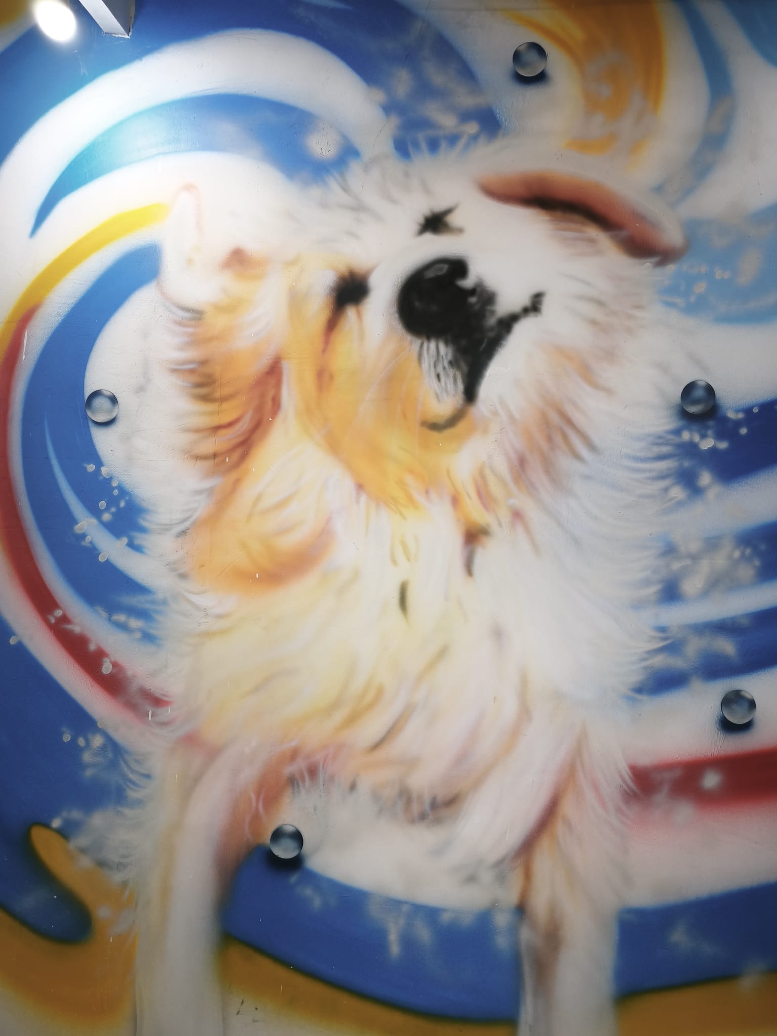 WhatsApp Image 2025-12-02 at 20.38.24.jpeg