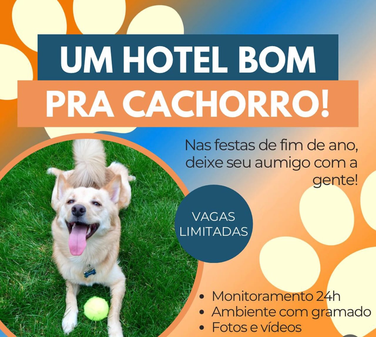 WhatsApp Image 2025-11-26 at 14.46.47.jpeg