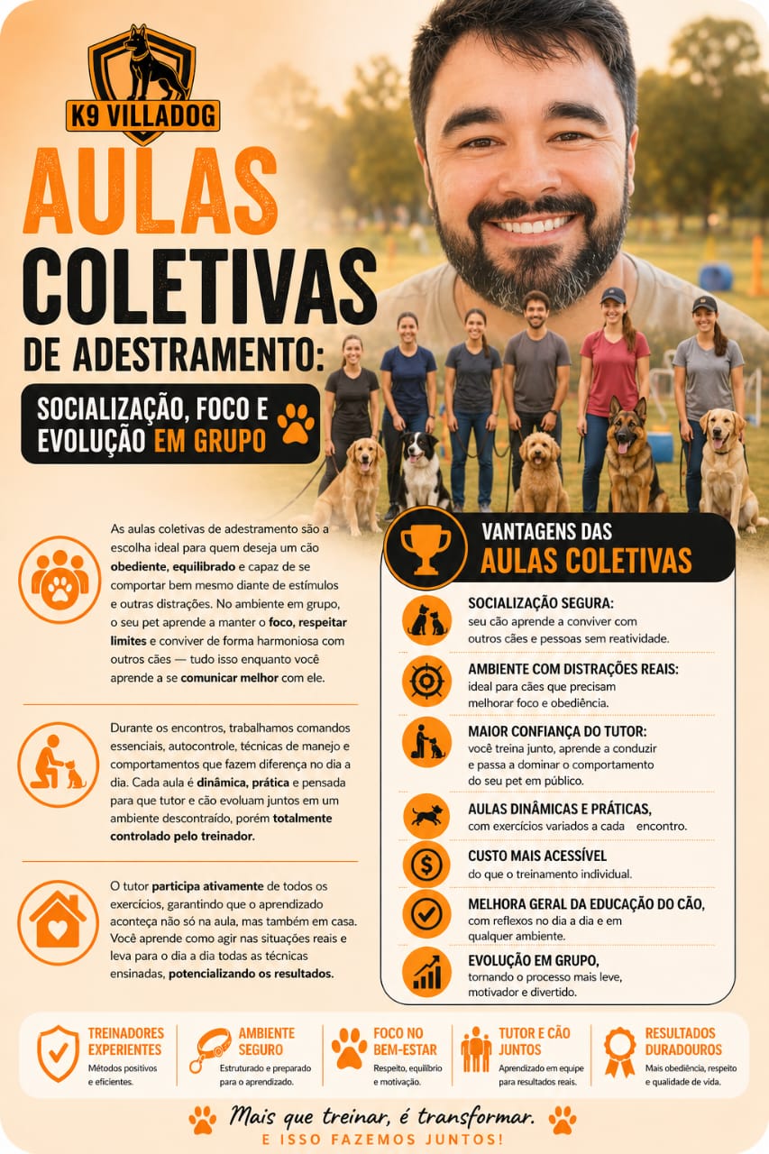 coletivas.jpeg