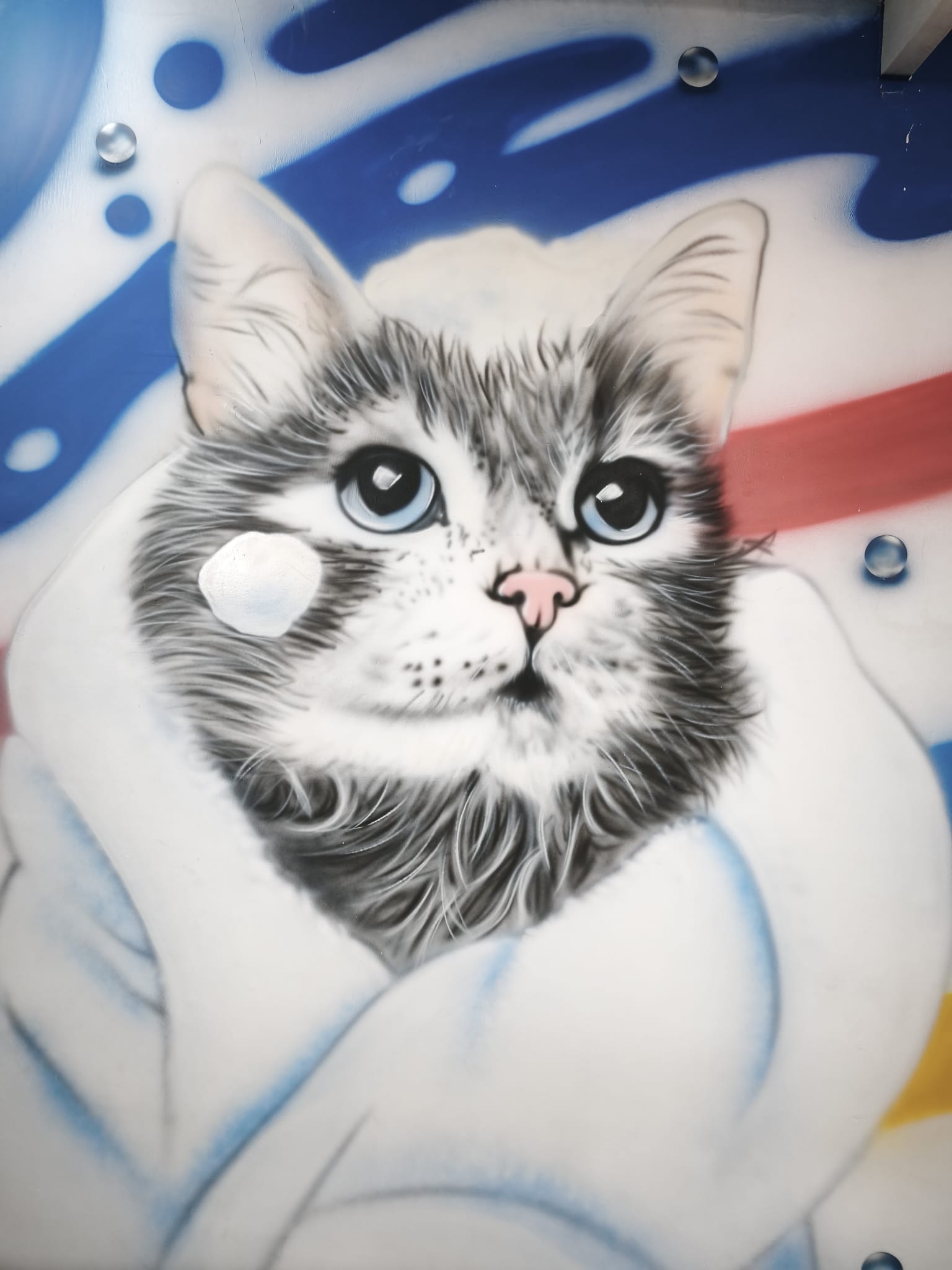 WhatsApp Image 2025-12-02 at 20.38.12.jpeg