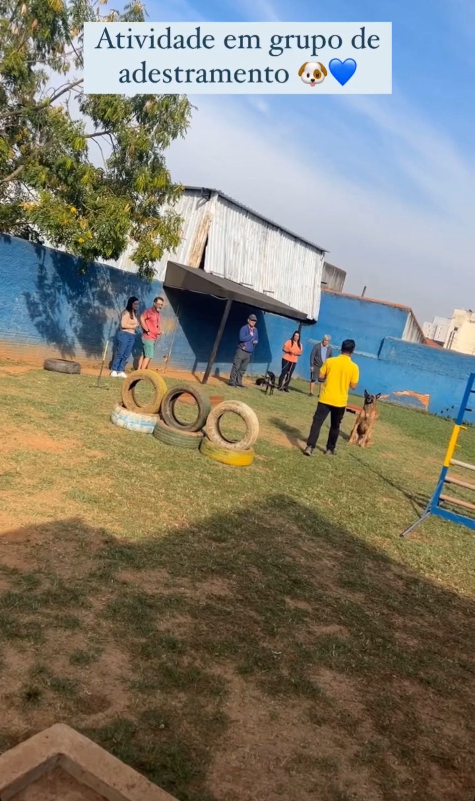 WhatsApp Image 2025-11-26 at 14.55.18.jpeg