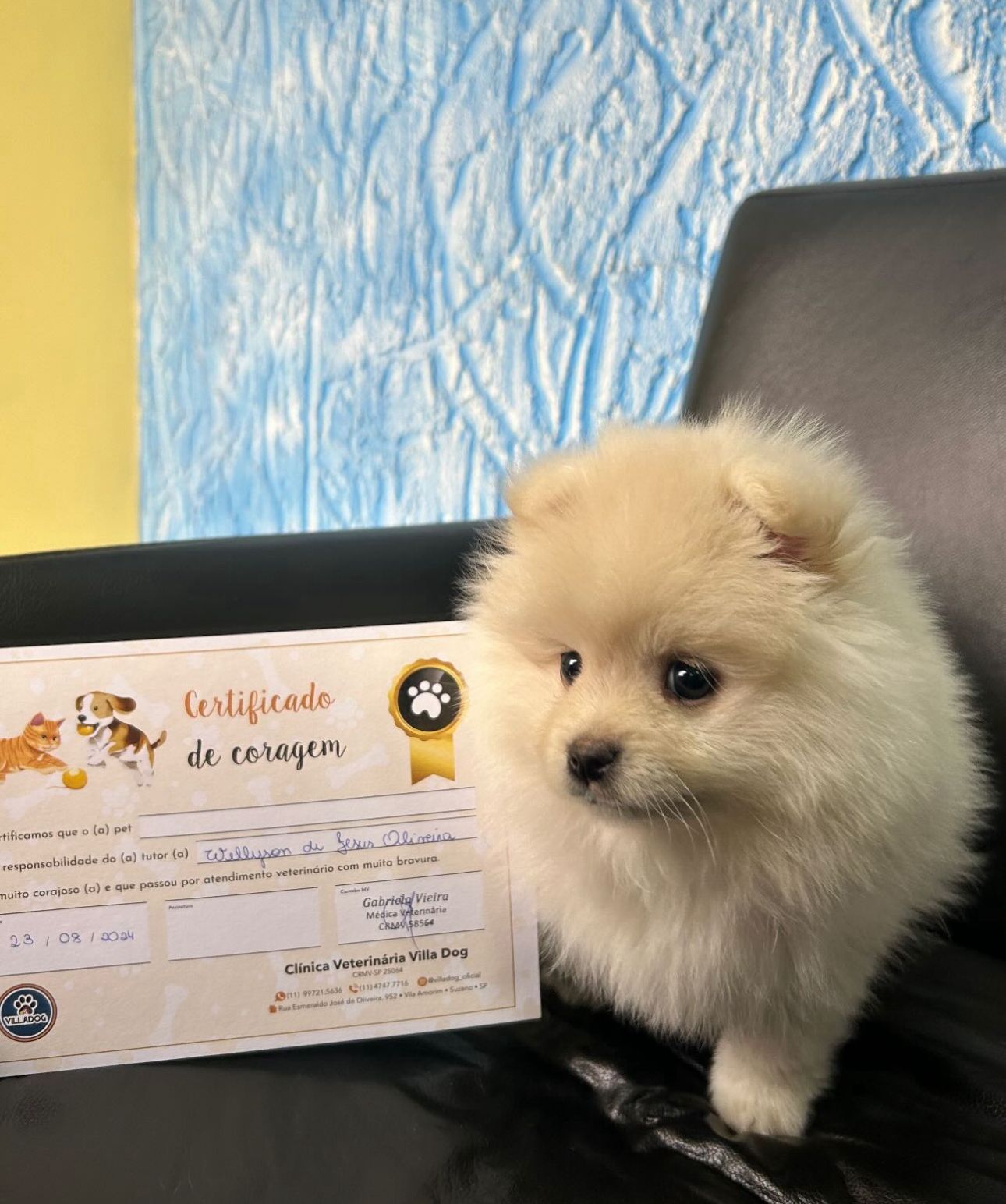 WhatsApp Image 2025-11-26 at 14.55.22.jpeg