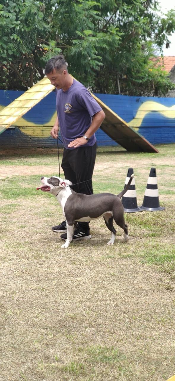 WhatsApp Image 2025-12-05 at 13.04.40 (1).jpeg