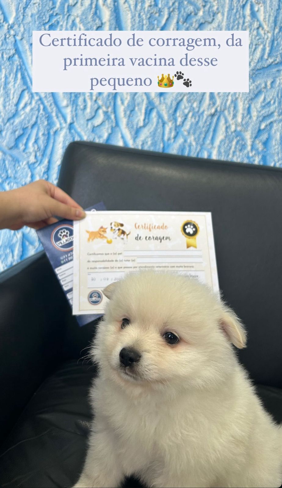 WhatsApp Image 2025-11-26 at 14.55.20.jpeg