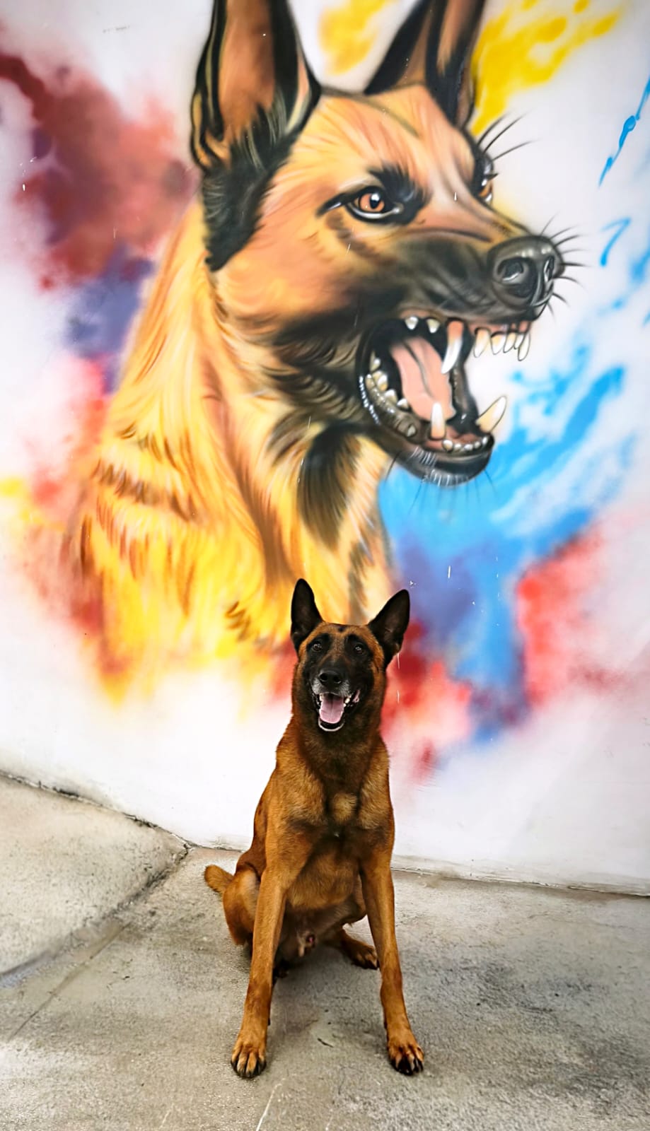 WhatsApp Image 2025-11-26 at 14.30.44.jpeg