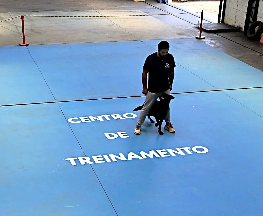 WhatsApp Image 2025-12-02 at 19.54.08.jpeg