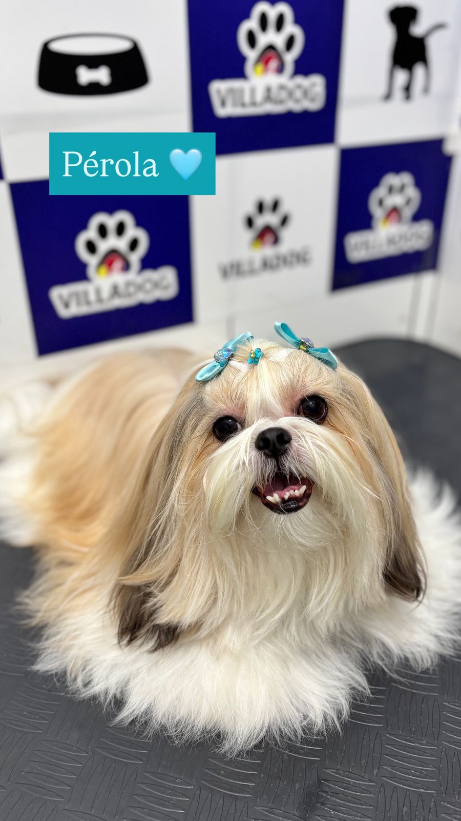 WhatsApp Image 2025-11-26 at 14.55.43.jpeg