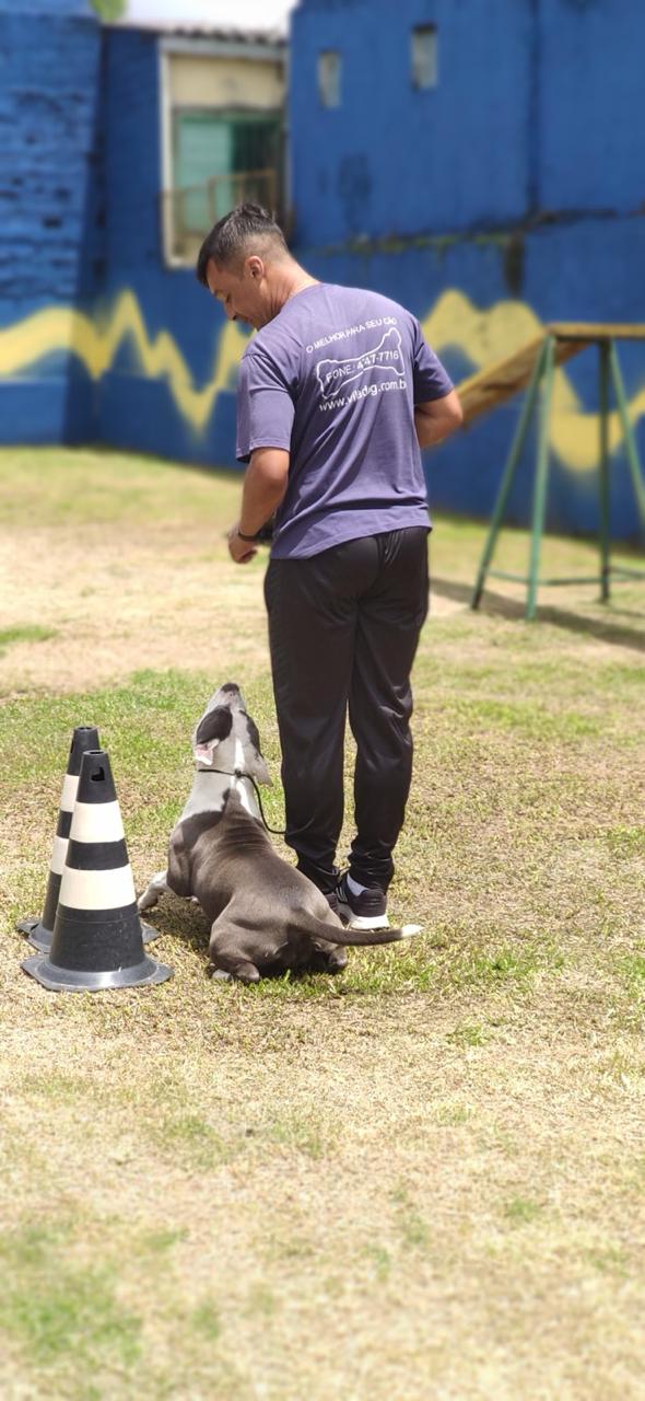 WhatsApp Image 2025-12-05 at 13.04.40.jpeg