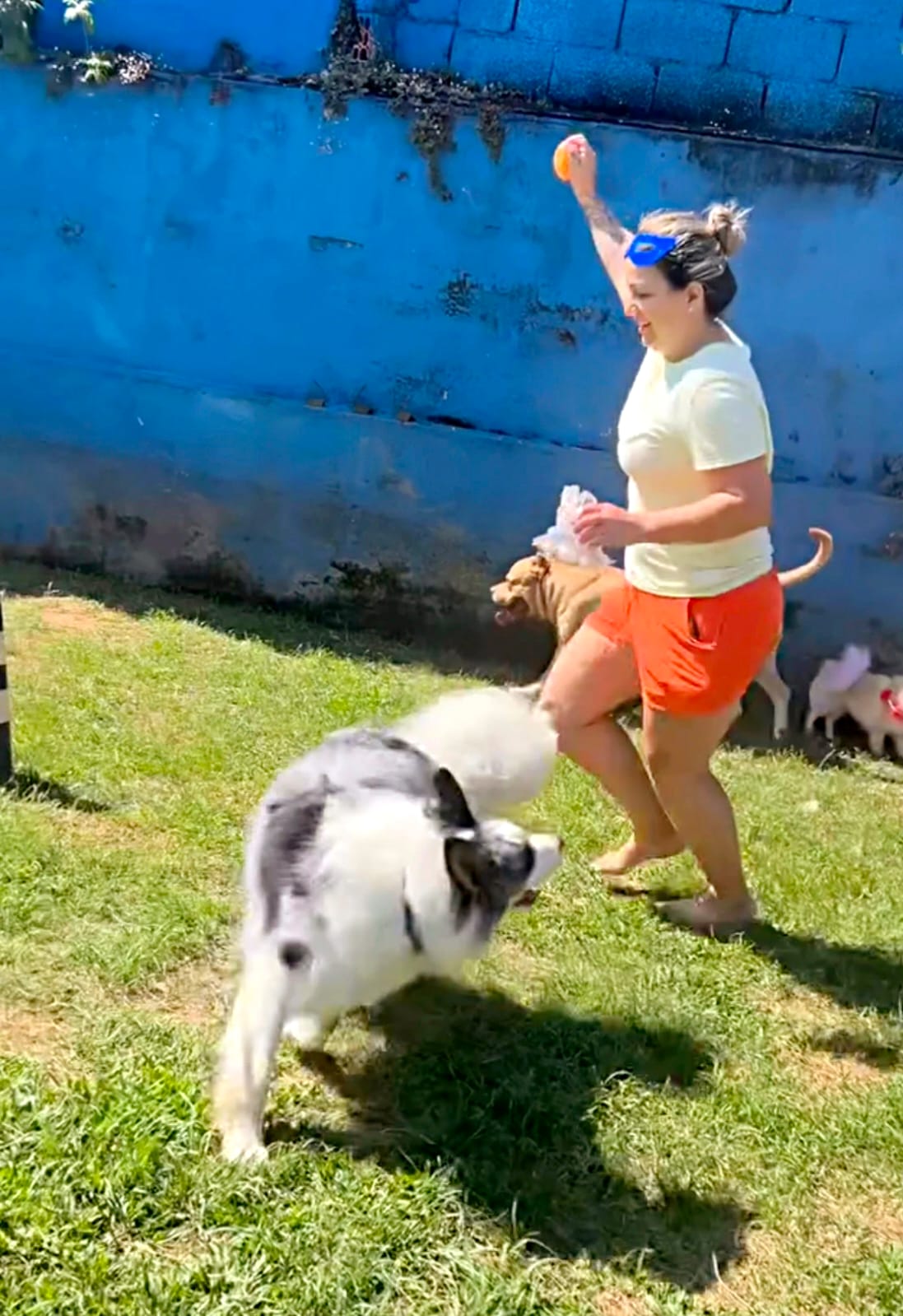 WhatsApp Image 2025-12-02 at 18.42.54.jpeg